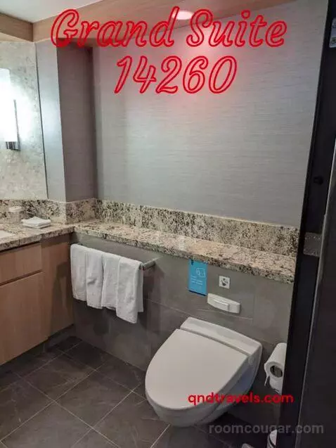 Suite (Grand Suite ) bathroom picture #10