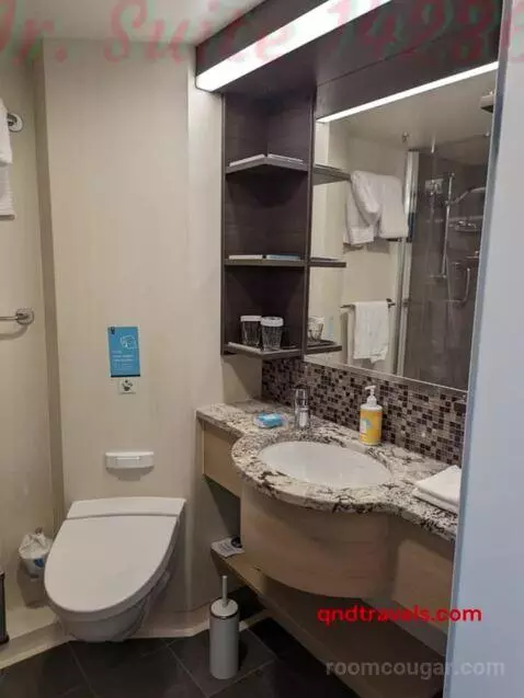 Suite (Jr. Suite 14) bathroom picture #2