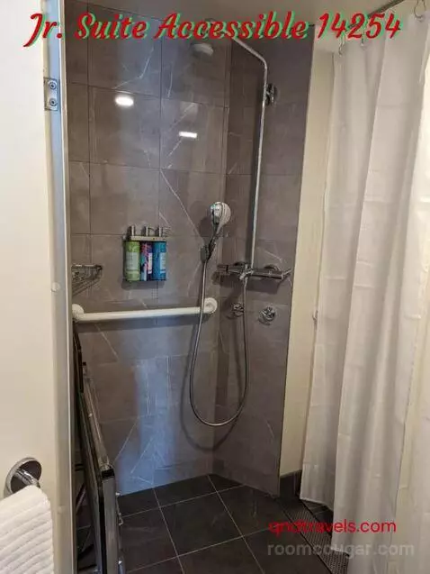 Suite (Jr. Suite Ac) bathroom picture #1