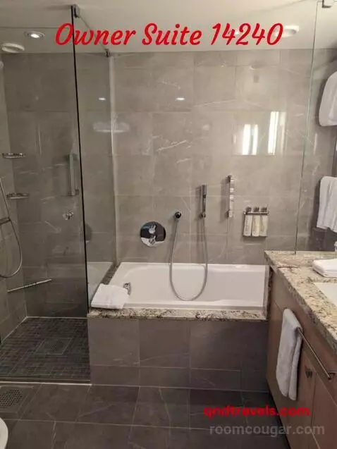 Suite (Owner Suite ) bathroom picture #4