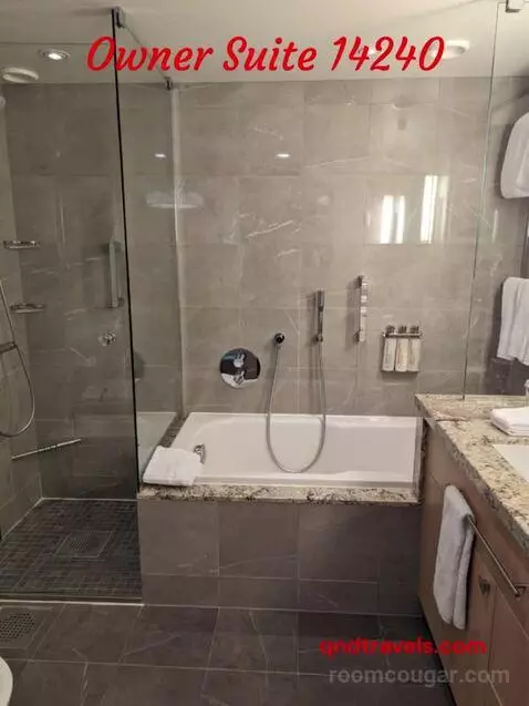 Suite (Owner Suite ) bathroom picture #5