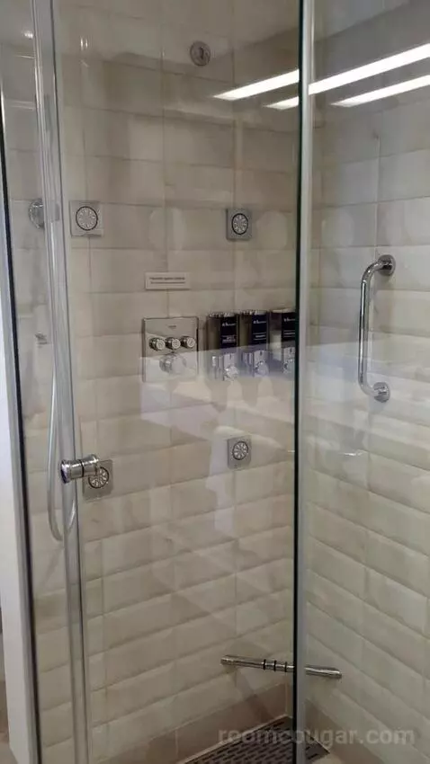 Suite (Excel Aft 95) bathroom picture #4