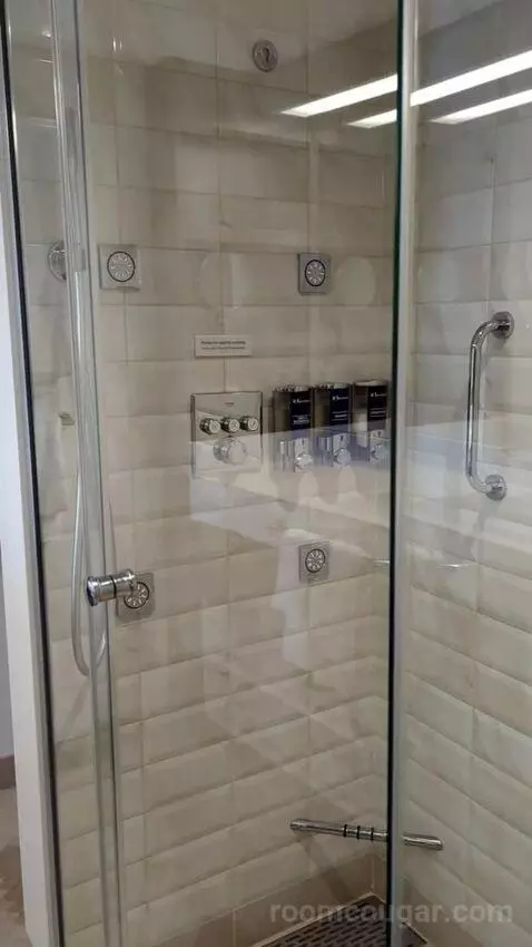 Suite (Excel Aft 95) bathroom picture #6
