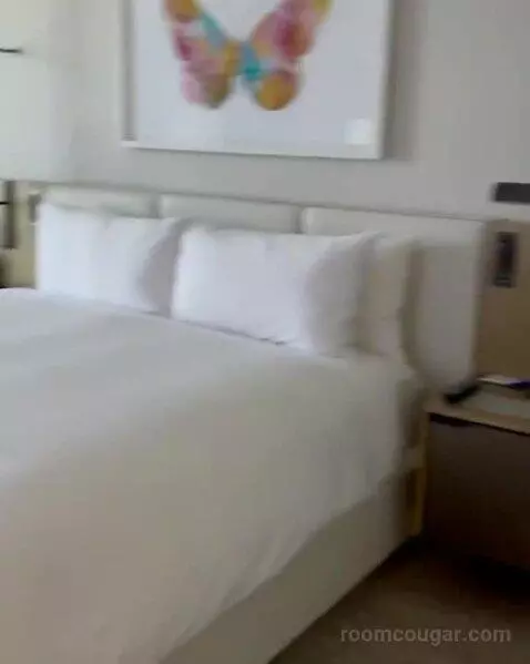 King Guest Room (#08) bed picture #4