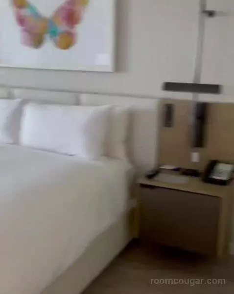 King Guest Room (#08) bed picture #5