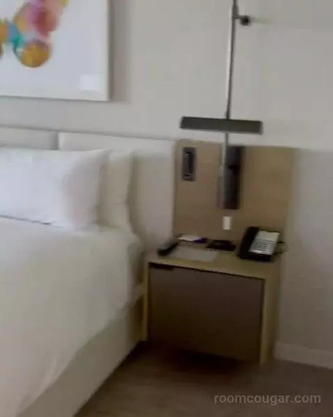 King Guest Room (#08) bed picture #6