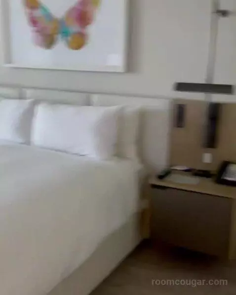 King Guest Room (#08) picture #16