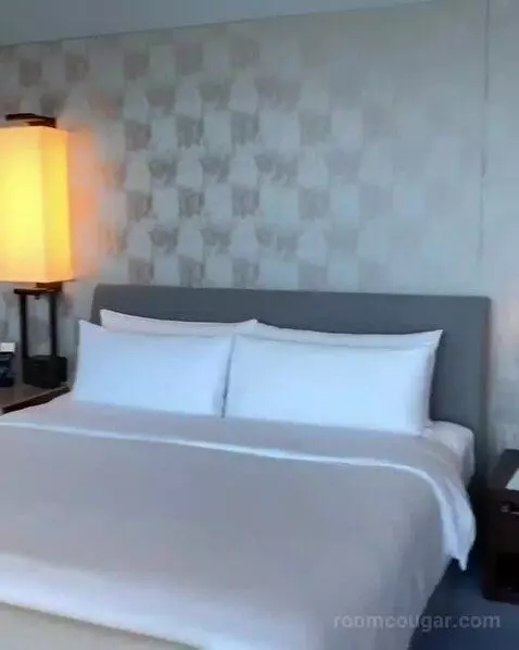 Premier King Room with City View (#34) bed picture #3