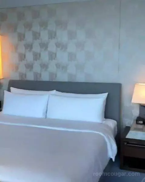 Premier King Room with City View (#34) bed picture #4