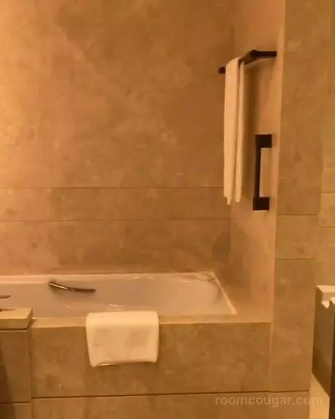 Premier King Room with City View (#34) bathroom picture #1