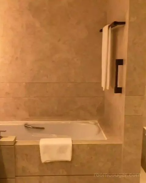 Premier King Room with City View (#34) bathroom picture #2