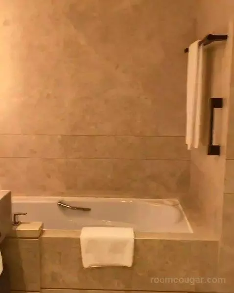 Premier King Room with City View (#34) bathroom picture #3