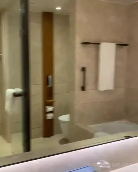 Premier King Room with City View (#34) bathroom picture #5