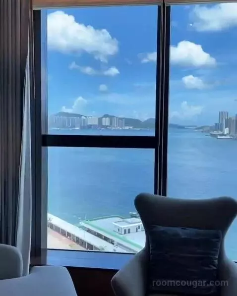 Premier King Room with City View (#34) view picture #1