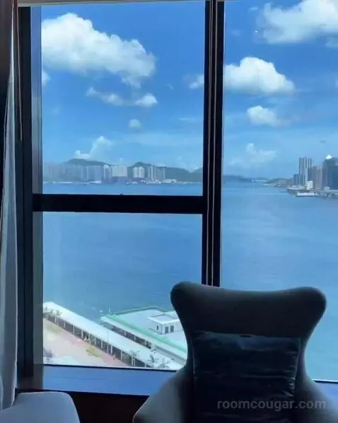 Premier King Room with City View (#34) view picture #2
