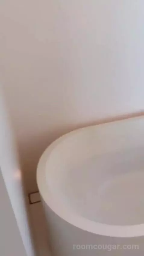 Standard King, Guest Room, 1 King (#99) bathroom picture #1