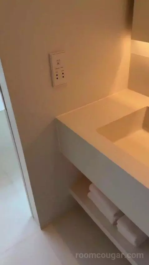 Standard King, Guest Room, 1 King (#99) bathroom picture #8