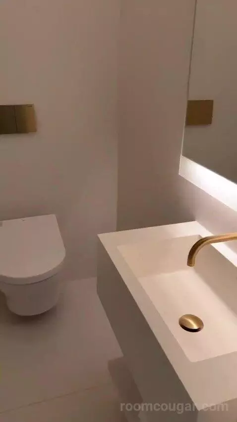 Standard King, Guest Room, 1 King (#99) bathroom picture #10