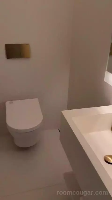 Standard King, Guest Room, 1 King (#99) bathroom picture #12