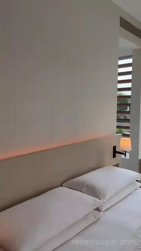 Standard King, Guest Room, 1 King (#99) bed picture #2