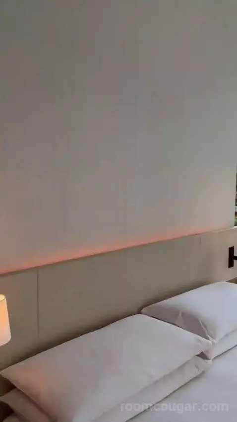 Standard King, Guest Room, 1 King (#99) bed picture #3