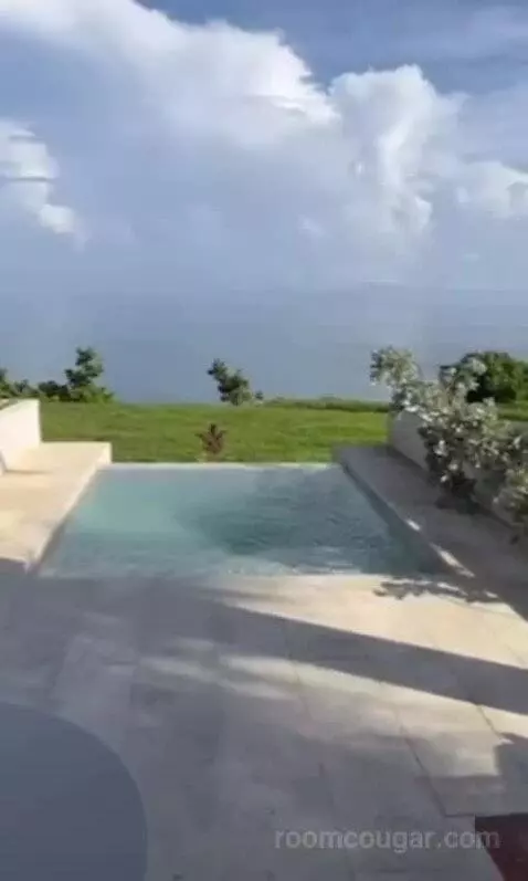 Superior Junior Suite Private Pool Ocean View (#408) view picture #2