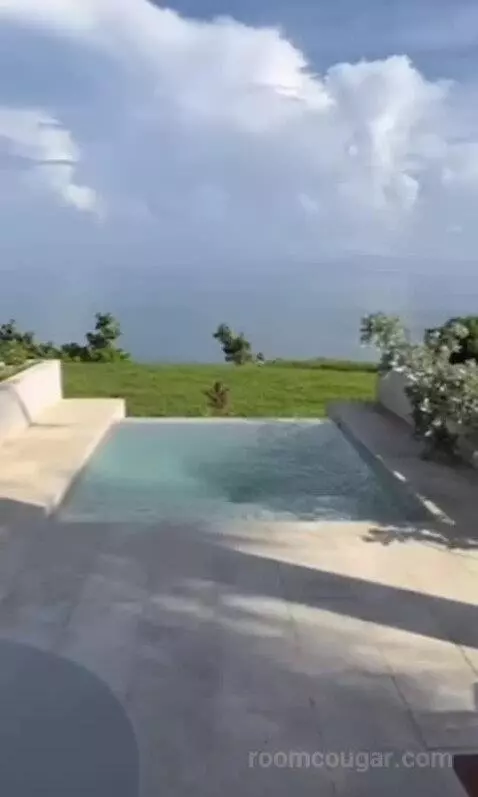 Superior Junior Suite Private Pool Ocean View (#408) view picture #3