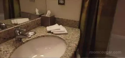 King Studio (#173) bathroom picture #1