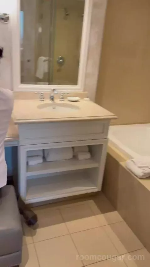 Premium King Suite (#2502) bathroom picture #5