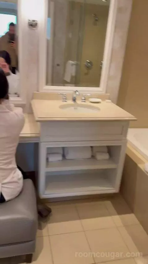 Premium King Suite (#2502) bathroom picture #7