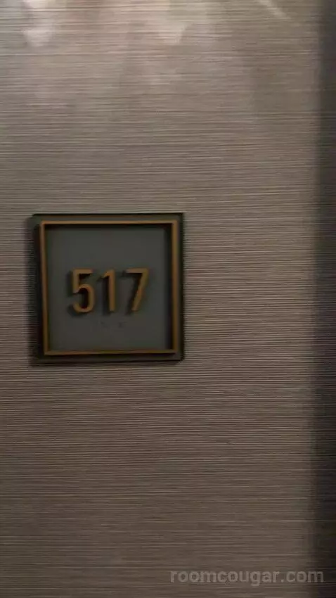 Studio Suite (#517) picture #1