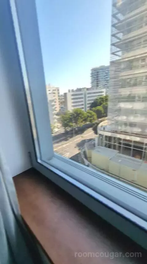 Deluxe Double or Twin Room view picture #11