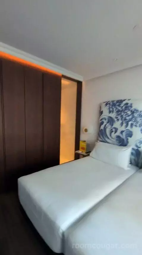 Deluxe Double or Twin Room bed picture #9