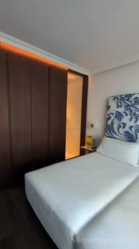 Deluxe Double or Twin Room bed picture #10