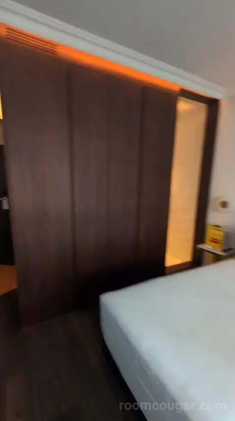 Deluxe Double or Twin Room bed picture #12