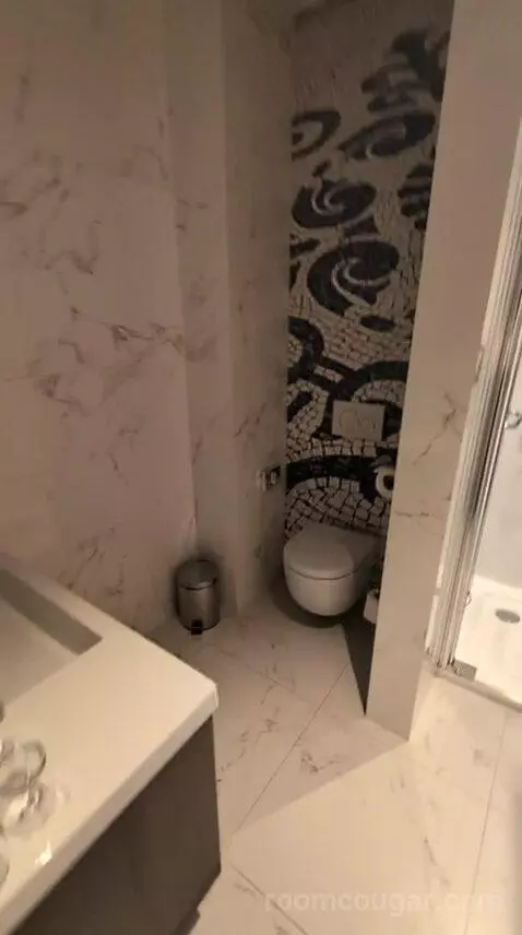 Deluxe Double or Twin Room bathroom picture #1