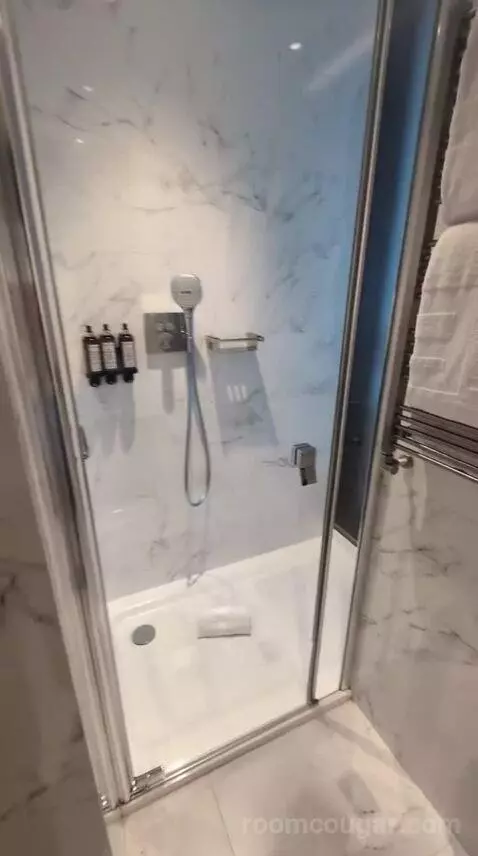 Deluxe Double or Twin Room bathroom picture #2