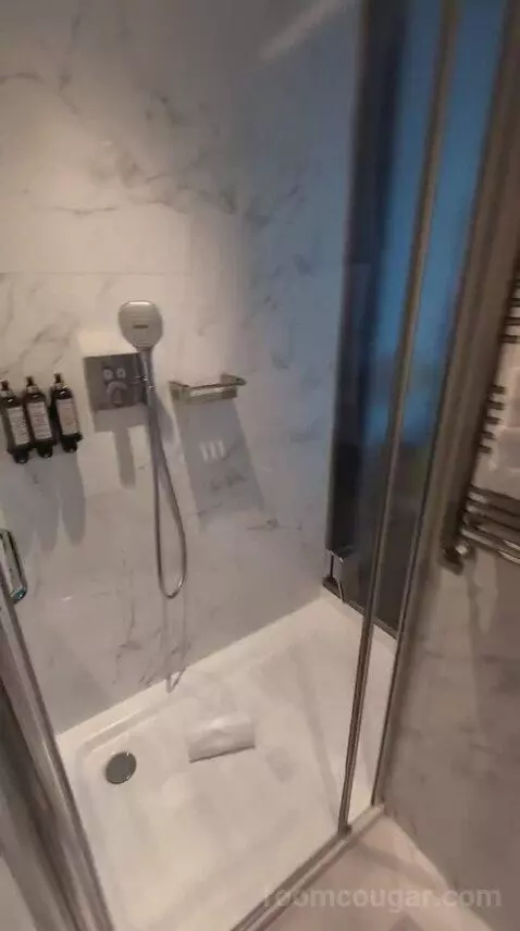 Deluxe Double or Twin Room bathroom picture #3