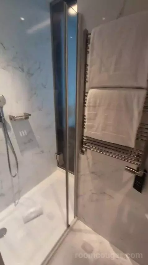 Deluxe Double or Twin Room bathroom picture #4