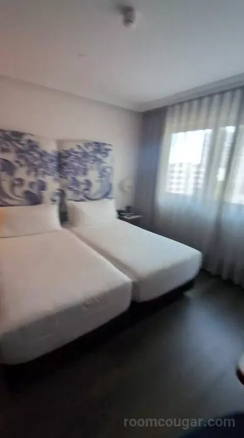 Deluxe Double or Twin Room bed picture #1