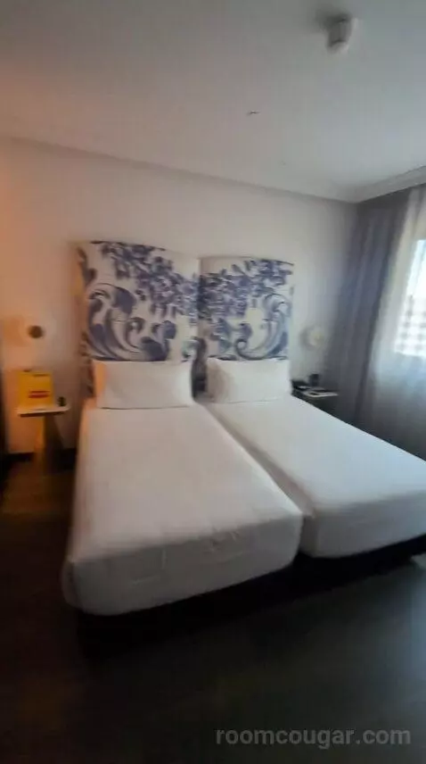 Deluxe Double or Twin Room bed picture #3
