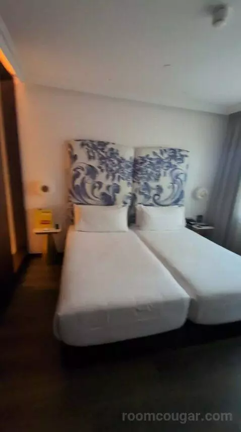 Deluxe Double or Twin Room bed picture #4