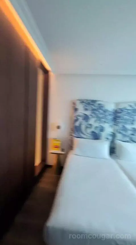 Deluxe Double or Twin Room bed picture #5