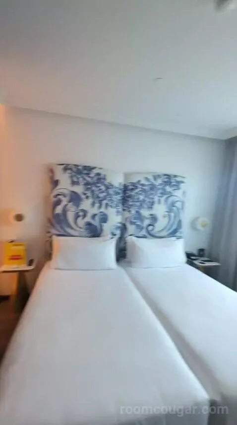 Deluxe Double or Twin Room bed picture #7