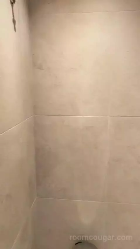 Standard bathroom picture #4