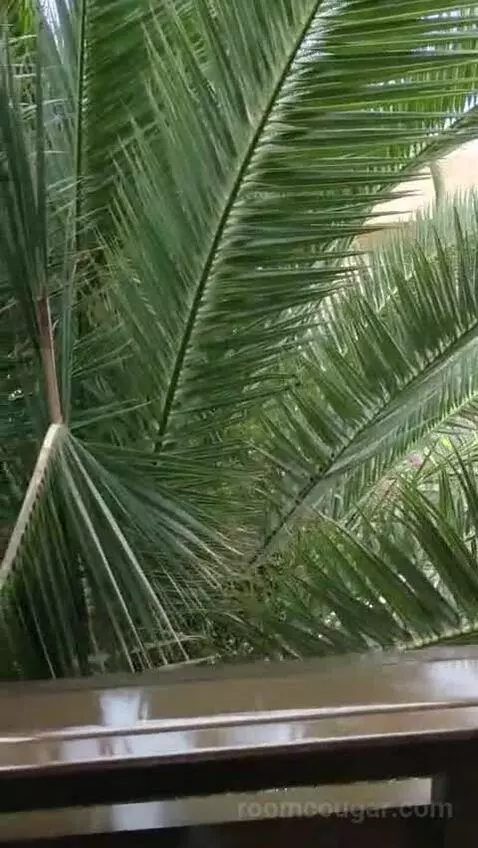 Standard view picture #6