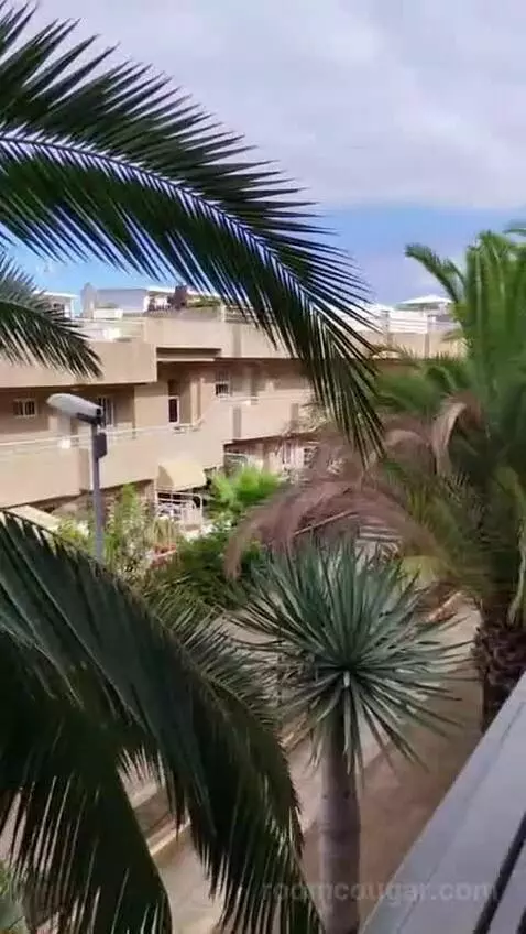 Standard view picture #11