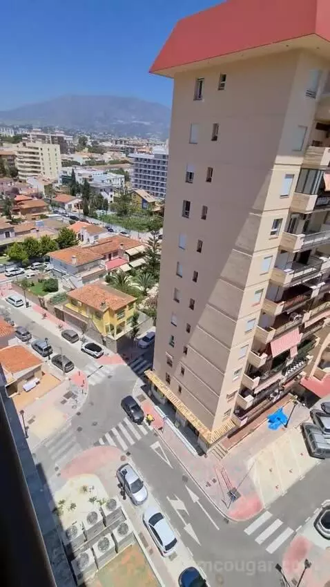 Standard view picture #1