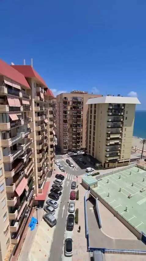Standard view picture #5