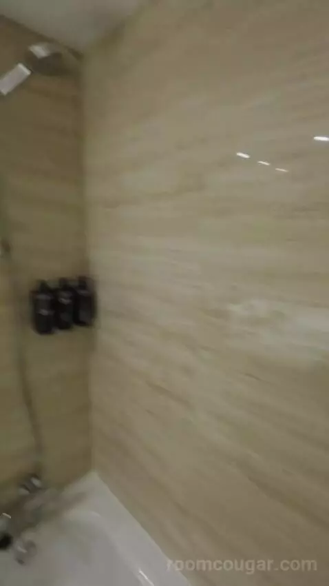 Double or Twin Room bathroom picture #8